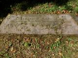 image of grave number 724002